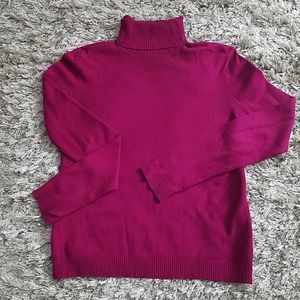 Petite Sophisticate Turtleneck Pullover
